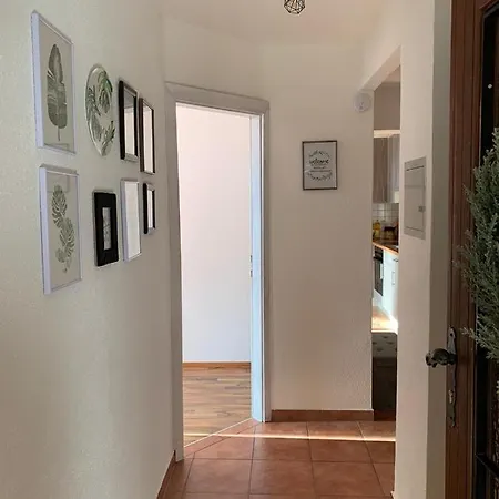 M'S Wood Appartement Maishofen Exterior photo