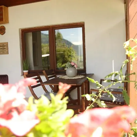 M'S Wood Appartement Maishofen Exterior photo