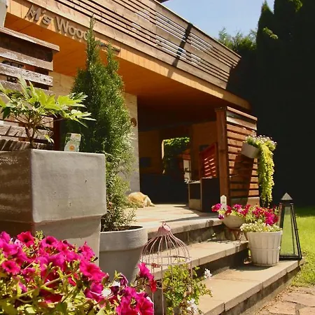 M'S Wood Appartement Maishofen Exterior photo